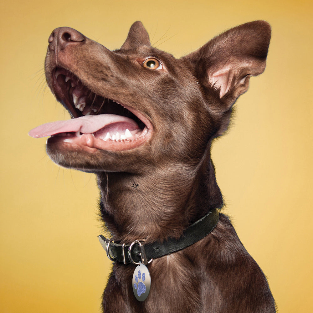 Cute Paw Print – Custom Engraved Enamel Pet ID Tag